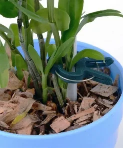 💥 Hot Sale 50% OFF💥 Reusable Garden Flower Lever Loop Gripper Clips