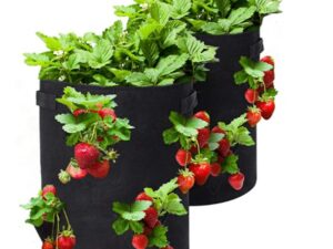 (Spring Hot Sale-Save 50% OFF) Strawberry Planting Bag