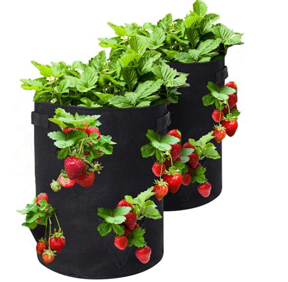 (Spring Hot Sale-Save 50% OFF) Strawberry Planting Bag