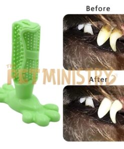 (❤️ تخفيضات التصفية: اشترِ قطعتين واحصل على خصم إضافي 2٪) فرشاة أسنان الكلب