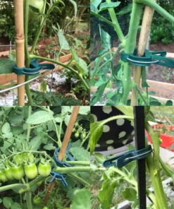 💥 Hot Sale 50% OFF💥 Reusable Garden Flower Lever Loop Gripper Clips