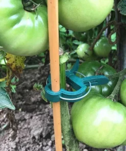 💥 Hot Sale 50% OFF💥 Reusable Garden Flower Lever Loop Gripper Clips