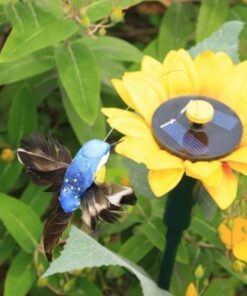 (❤️Կանանց օրվա ֆլեշ զեղչ - 50% ԶԵՂՉ) Solar Dancing Hummingbird