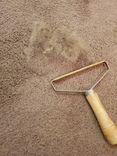 (š„HOT SALE NOW-48% OFF) LINT CLEANER PRO⢠(š„Buy 2 Get 2 Free)