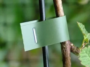 (🔥Summer Hot Sale Save 50% OFF)Professional Plant Tying Machine