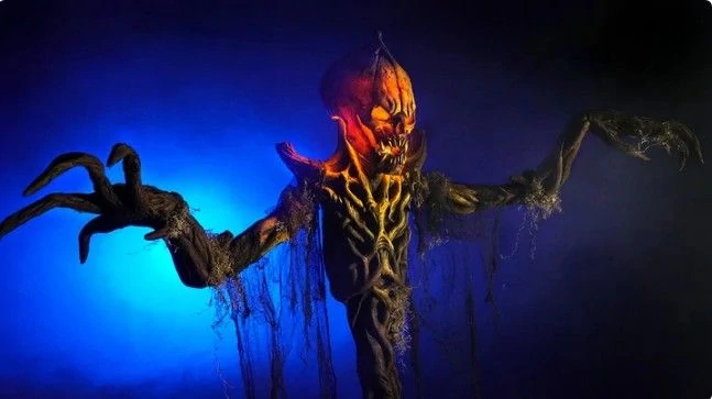 FACTORY OUTLET!2021 HALLOWEEN PUMPKIN PATCH COMBO(HALF PRICE SALE)