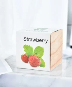 Pre-Seeded Organic Wood Planters