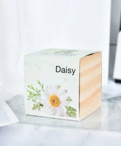 Pre-Seeded Organic Wood Planters