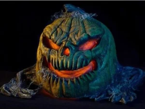 FACTORY OUTLET!2021 HALLOWEEN PUMPKIN PATCH COMBO(HALF PRICE SALE)