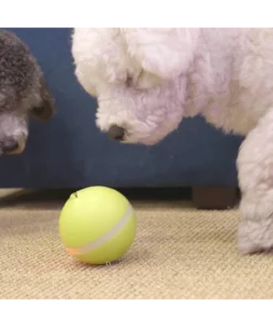 [Hot Sale] Motion Ball