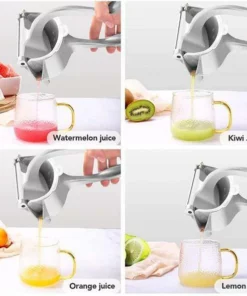 (❤️Hot Summer Sale - 40% OFF) Stainless Steel Fruit Juice Squeezer