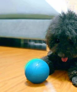 [Hot Sale] Motion Ball