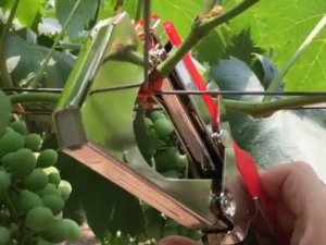 (🔥Summer Hot Sale Save 50% OFF)Professional Plant Tying Machine