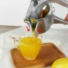 (❤️Venta de verán quente - 40 % de desconto) Exprimidor de zume de froita de aceiro inoxidable