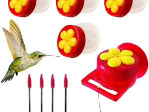 Close Range Hummingbird Feeder