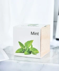 Pre-Seeded Organic Wood Planters