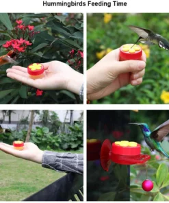 Close Range Hummingbird Feeder