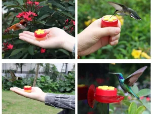 Close Range Hummingbird Feeder