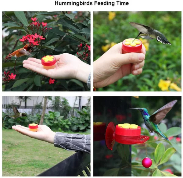 Close Range Hummingbird Feeder