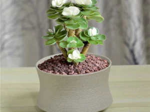 Last Day Promotion🔥 Petal Leaf Succulent---BUY 1 GET 1 FREE