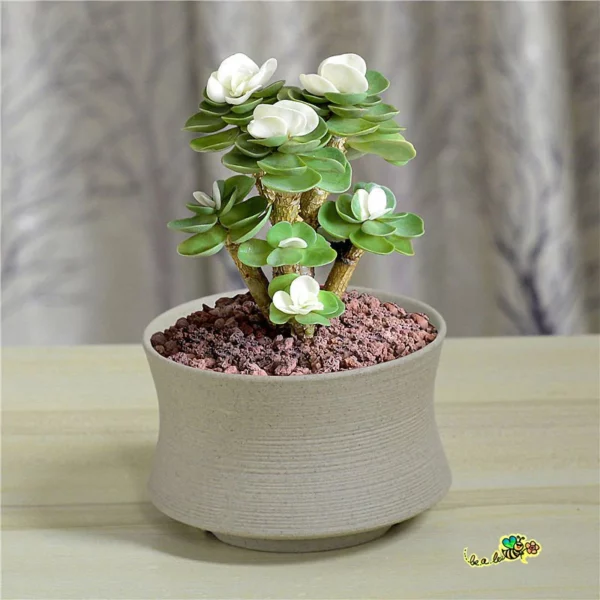 Nkwalite ụbọchị ikpeazụ🔥 Petal Leaf Succulent --- Zụrụ 1 Nweta 1 n'efu