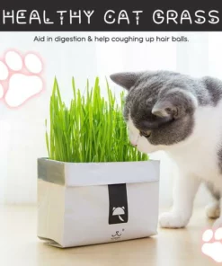 Vetreska™ DIY Self Grow Cat Grass