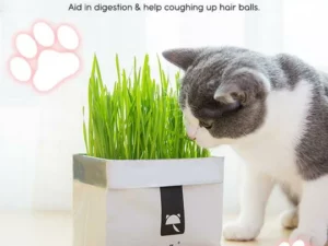 Vetreska™ DIY Self Grow Cat Grass