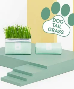 Vetreska™ DIY Self Grow Cat Grass