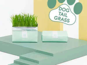 Vetreska™ DIY Self Grow Cat Grass