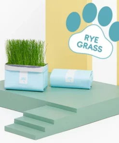 Vetreska™ DIY Self Grow Cat Grass