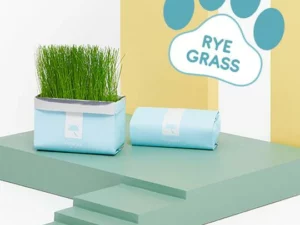 Vetreska™ DIY Self Grow Cat Grass