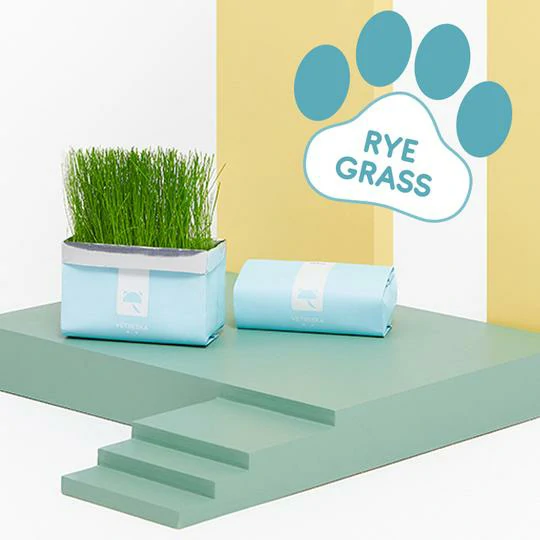 Hoʻoulu ʻo Vetreska™ DIY Self Grow Cat Grass