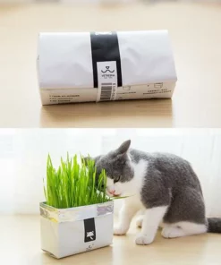 Vetreska™ DIY Self Grow Cat Grass