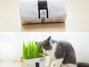 Vetreska™ DIY Self Grow Cat Grass