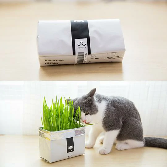 Vetreska™ DIY Self Kweek Cat Grass