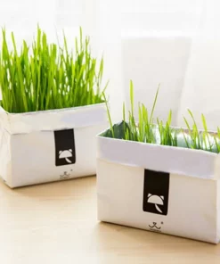 Vetreska™ DIY Self Grow Cat Grass