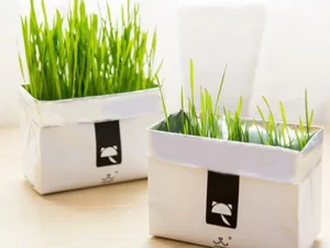 Vetreska™ DIY Self Grow Cat Grass
