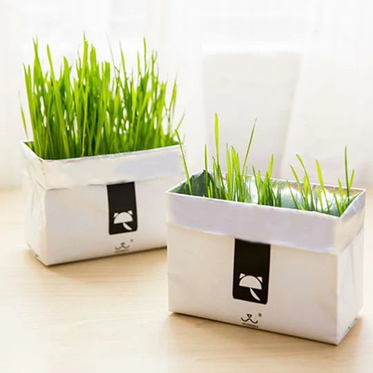 Vetreska™ DIY Self Grow Cat Grass