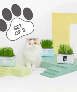 Vetreska™ DIY Self Grow Cat Grass