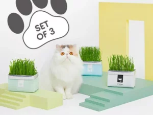 Vetreska™ DIY Self Grow Cat Grass