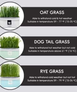 Vetreska™ DIY Self Grow Cat Grass