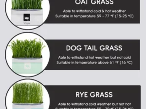 Vetreska™ DIY Self Grow Cat Grass