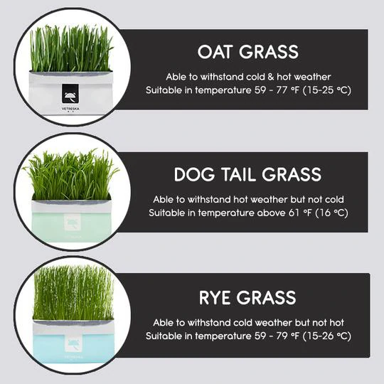 Hoʻoulu ʻo Vetreska™ DIY Self Grow Cat Grass