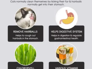 Vetreska™ DIY Self Grow Cat Grass