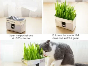 Vetreska™ DIY Self Grow Cat Grass