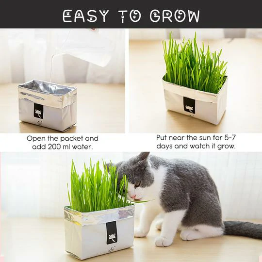 Hoʻoulu ʻo Vetreska™ DIY Self Grow Cat Grass