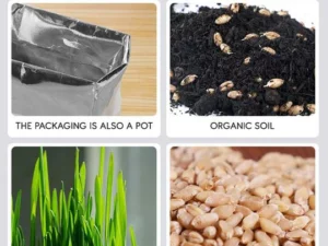 Vetreska™ DIY Self Grow Cat Grass