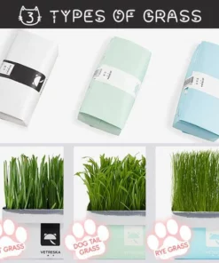 Vetreska™ DIY Self Grow Cat Grass