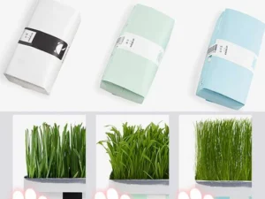 Vetreska™ DIY Self Grow Cat Grass