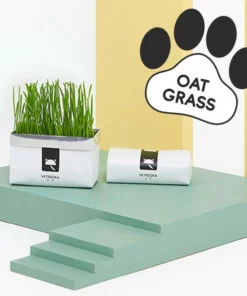 Vetreska™ DIY Self Grow Cat Grass